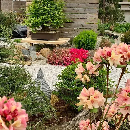 Maj 3* モラフスケ・トプリツェ