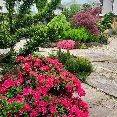 Maj 3* מורבסקה טופליצה