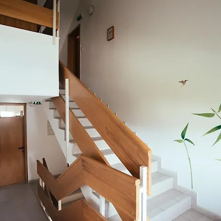 Hotel Maj 3*